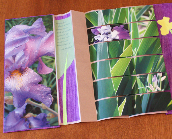 Mindy%20Trost-Iris-image-2.jpg